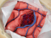 avmresection_1280
